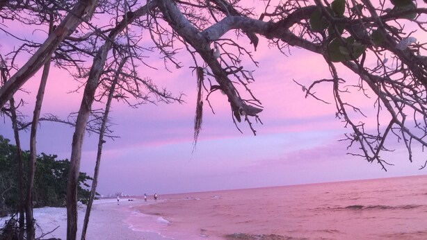 Une plage bordée d’un ciel aux teintes rosées, d’une mer calme et d’une végétation clairsemée.