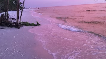 Chaises longues, serviettes de plage