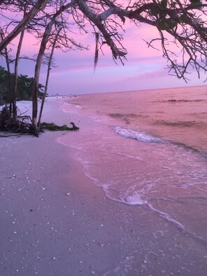 Una playa con cielo rosado, mar tranquilo y vegetación escasa.