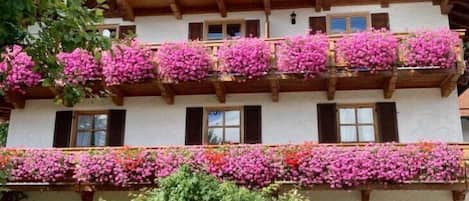 Un edificio a più piani con balconi decorati da fiori e travi in legno.