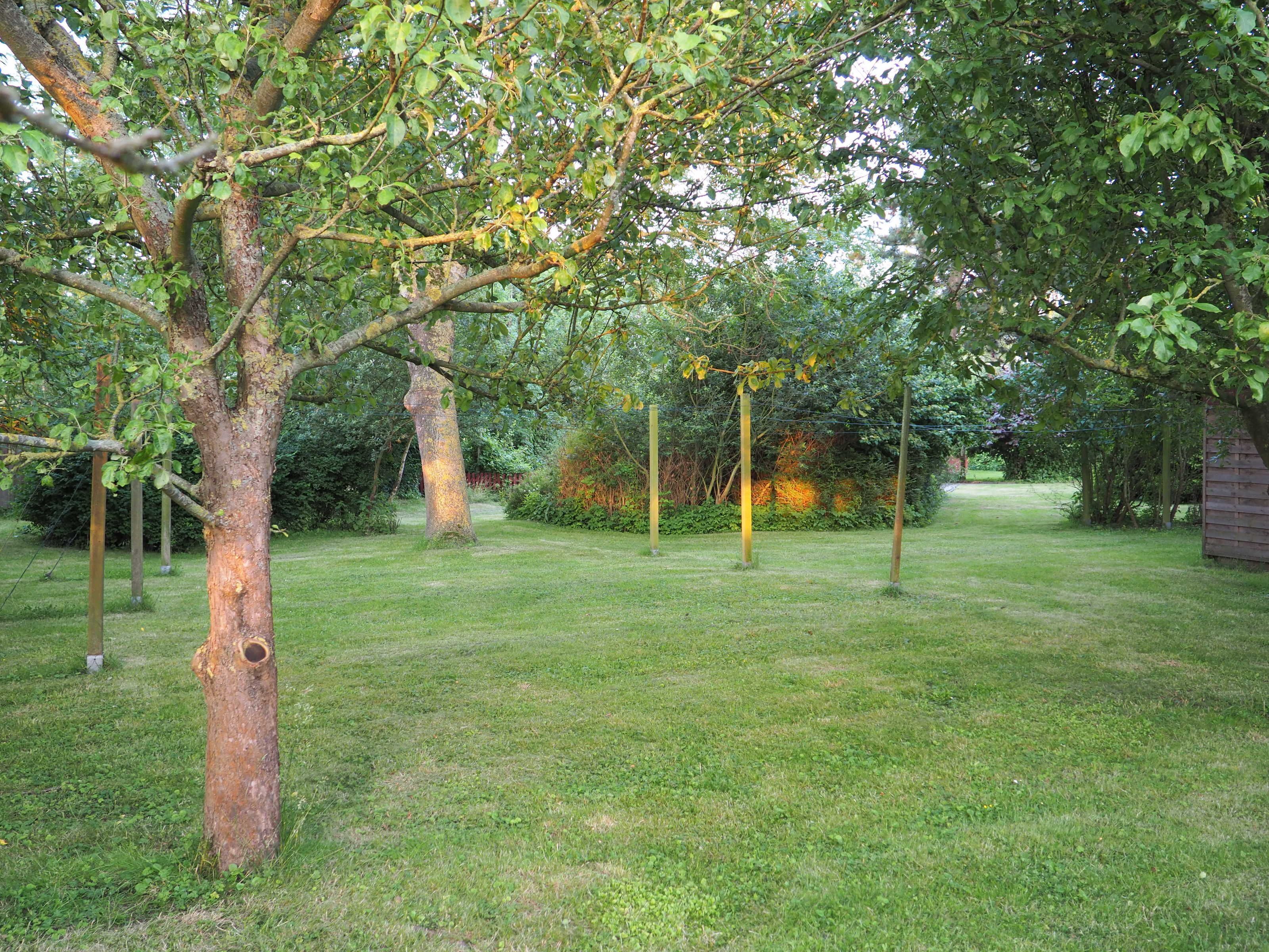 Un'area verde con alberi e una struttura in legno.