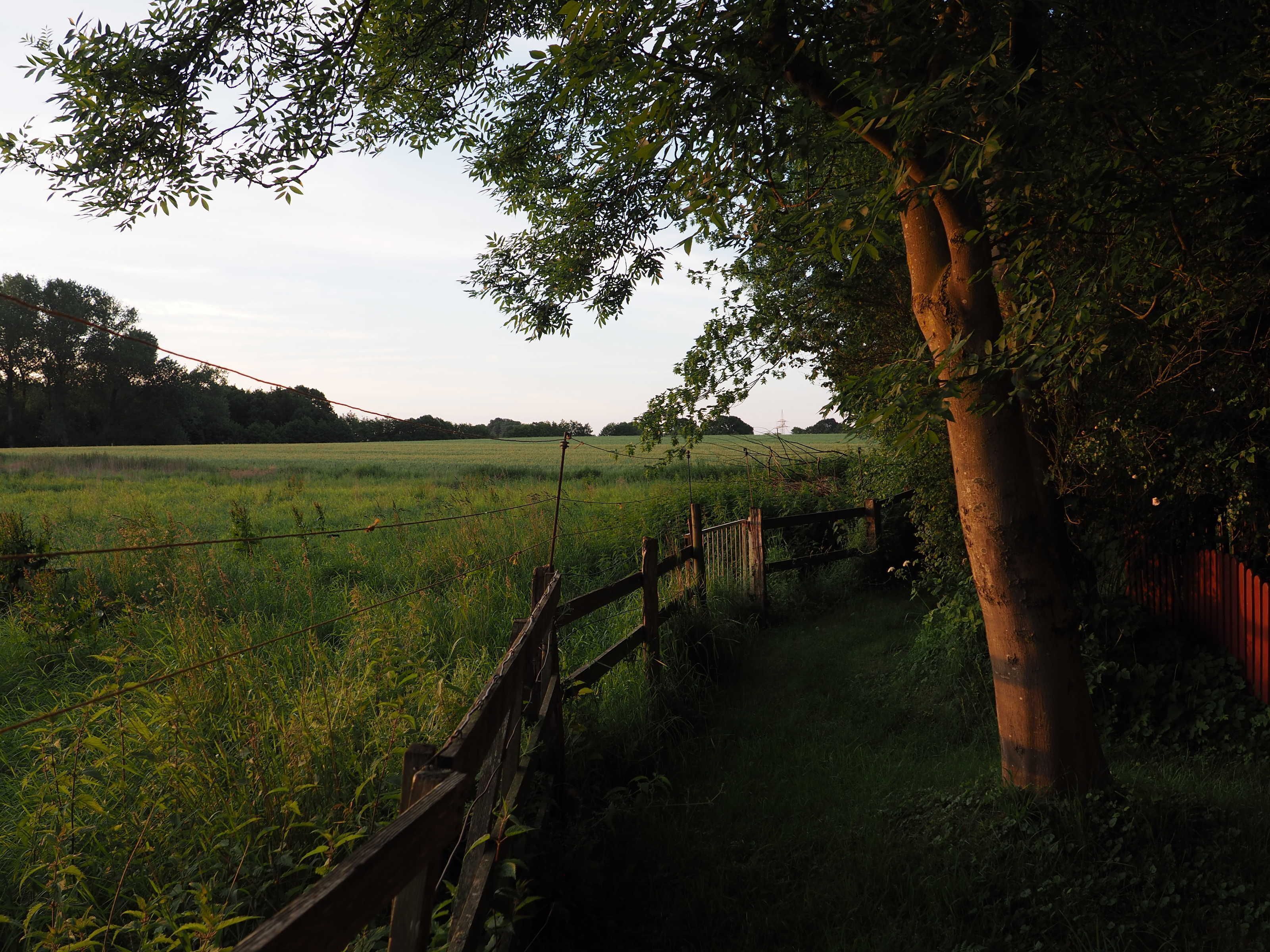 A rural landscape with a wooden fence, a tree, and a field.