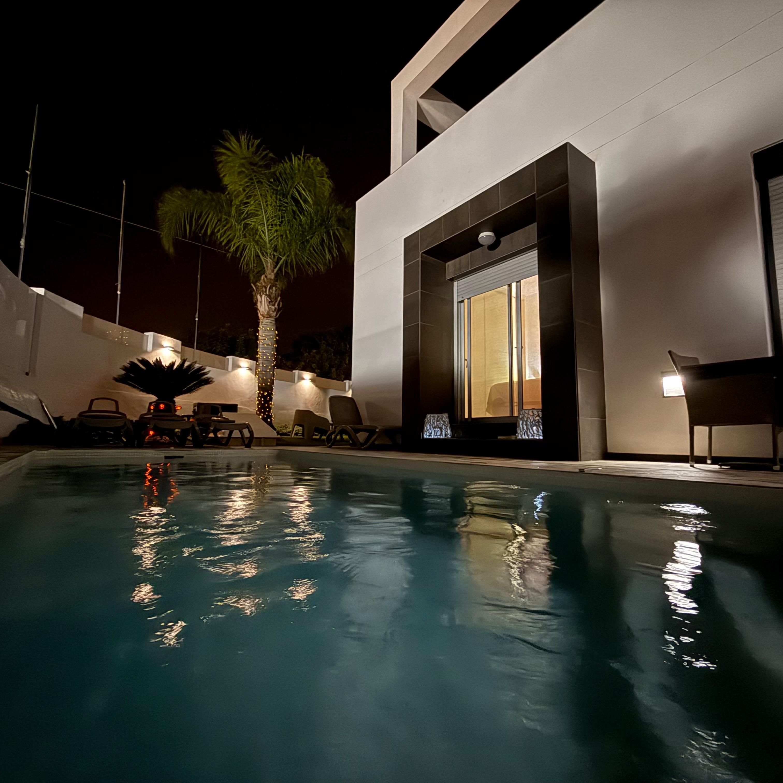 Ein Swimmingpool mit Liegestühlen und einer Palme, umgeben von einem modernen Gebäude mit großen Fenstern.