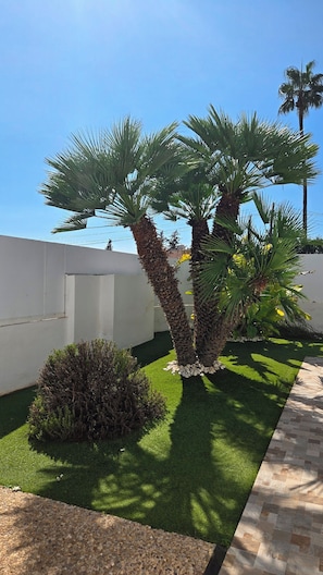 Un jardín ajardinado con palmeras, setos y un sendero pavimentado.