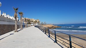 Un paseo marítimo junto a la costa, con un sendero de piedra, palmeras y vista al océano.