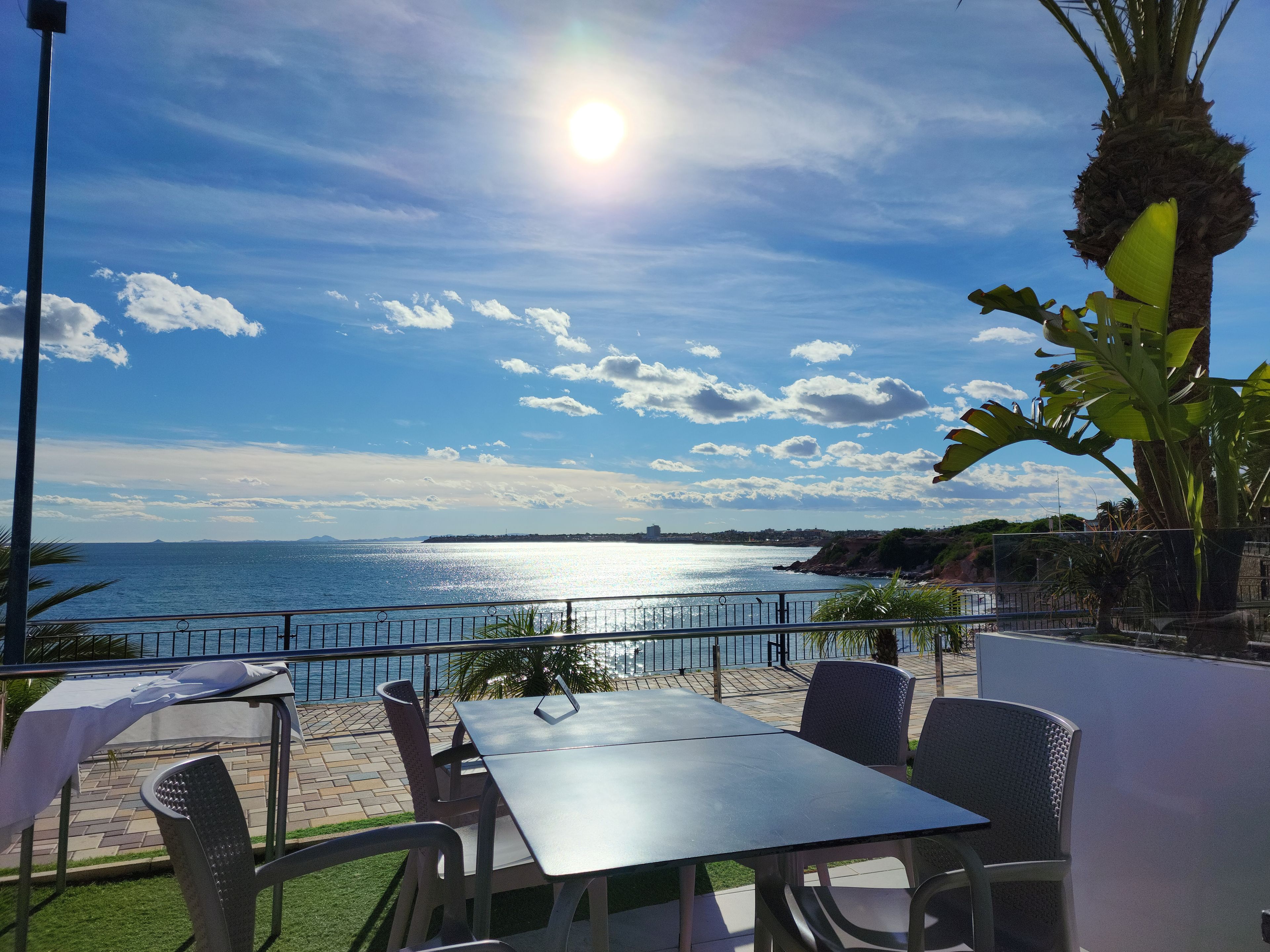 Een terras met uitzicht op zee, een palmboom en een heldere lucht.