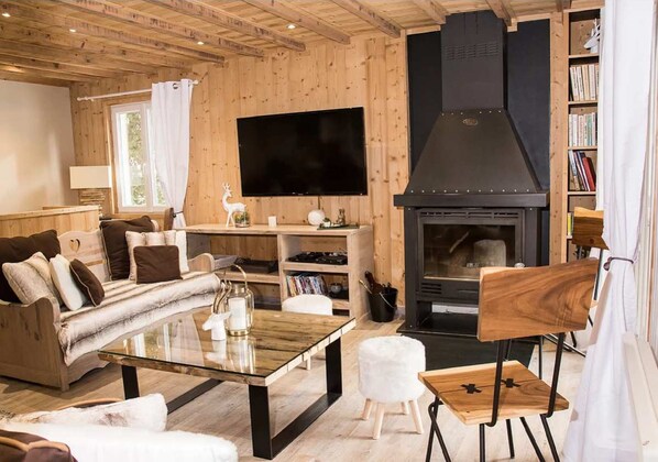 TV, fireplace, DVD player, books