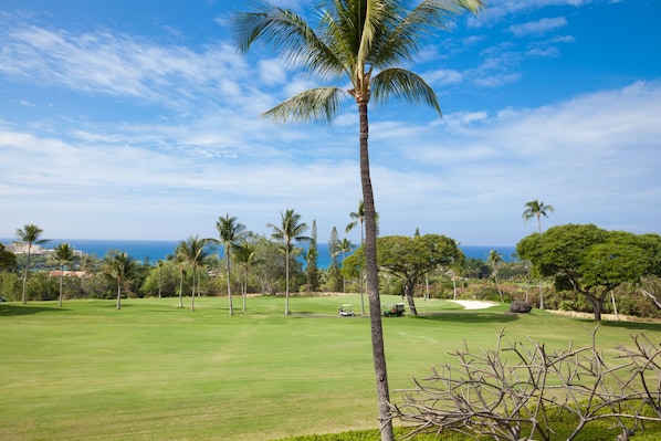 A golf course with a clear view of the ocean and palm trees.