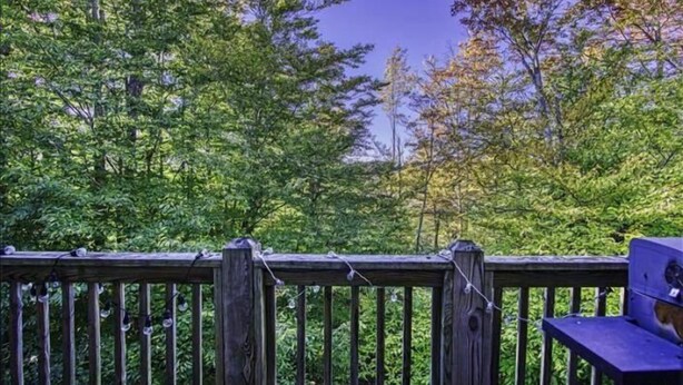 Eine Holzterrasse mit einer Bank, umgeben von dichtem Grün und Bäumen.