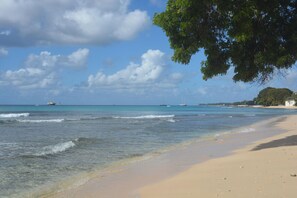 Una playa con agua cristalina, barcos a lo lejos y un árbol a la derecha.