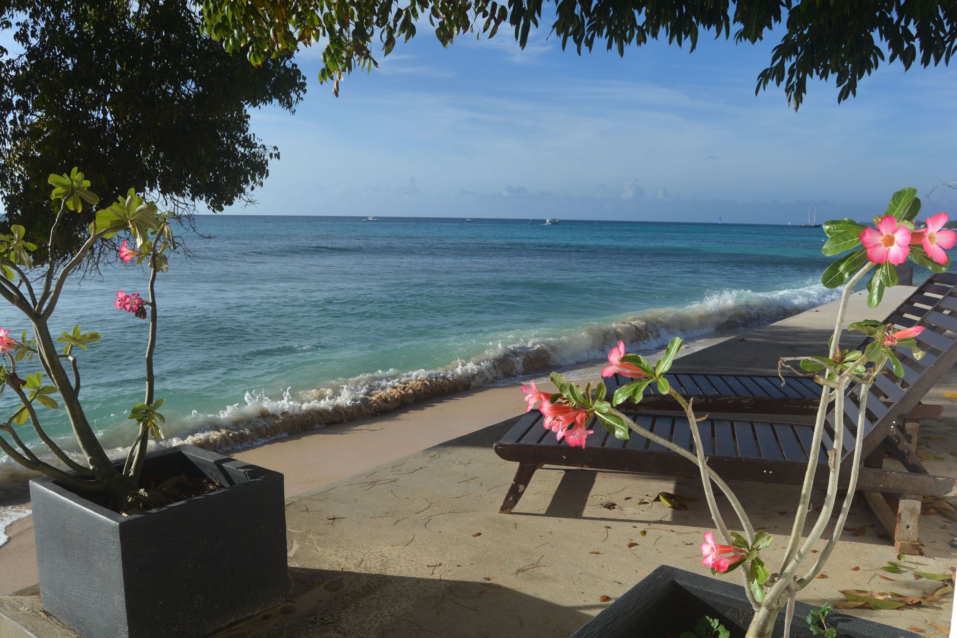 Plage, chaises longues, serviettes de plage
