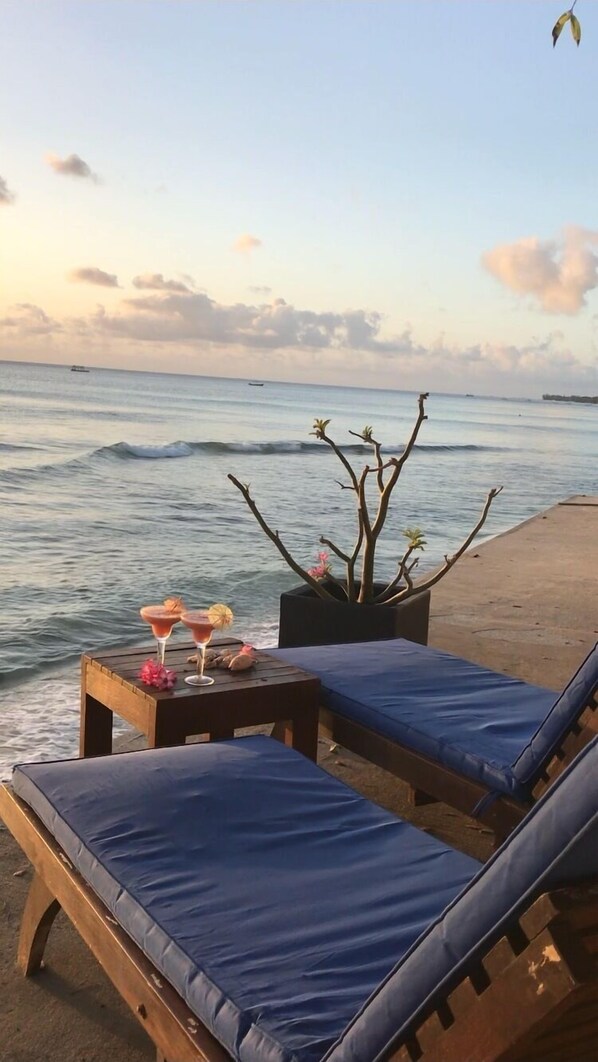 Un salón junto a la playa con dos sillones acolchados y una mesa pequeña, una planta en maceta y una botella de champán.