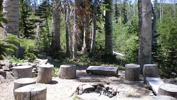 Terrain de l’hébergement 