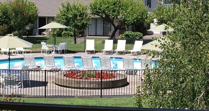 Cozy Premium Jr. Suite, In Beautiful Napa Valley -Perfect for Couples