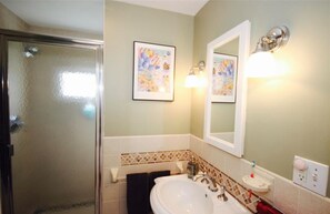 Hair dryer, towels, soap, shampoo
