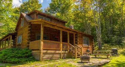 SG18- Private, Log Home! Hot Tub! Dolly Sods Access! Pets ok!