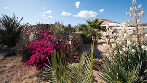 A garden with a stone wall, various plants, and a clear blue sky. - The Underground Motel (Coober Pedy)
