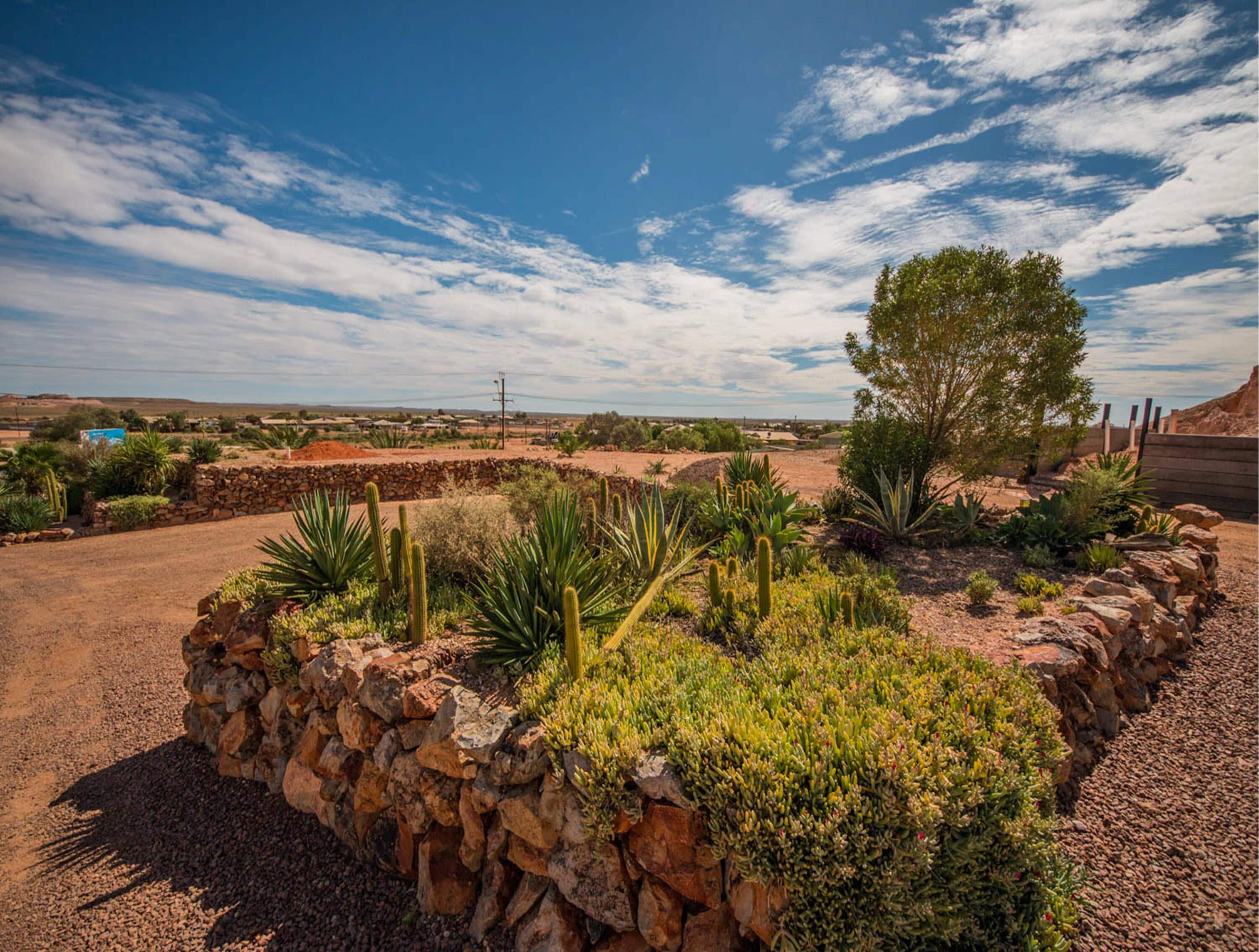 Paisaje desértico con un muro de piedra, cactus y un árbol.