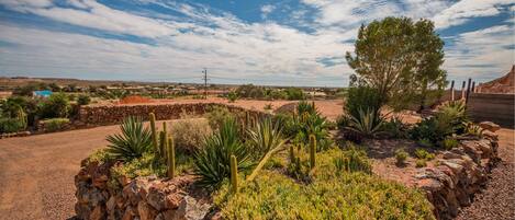 Paisaje desértico con un muro de piedra, cactus y un árbol.
