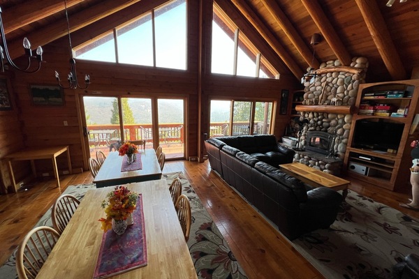 Televisor intel·ligent, llar de foc, reproductor de DVD i llibres