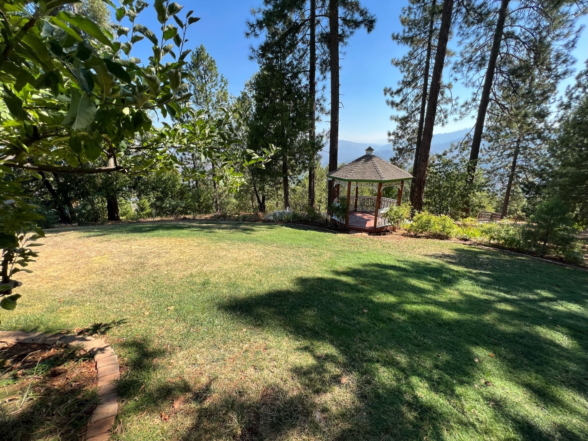 A gazebo in a grassy area surrounded by tall trees.