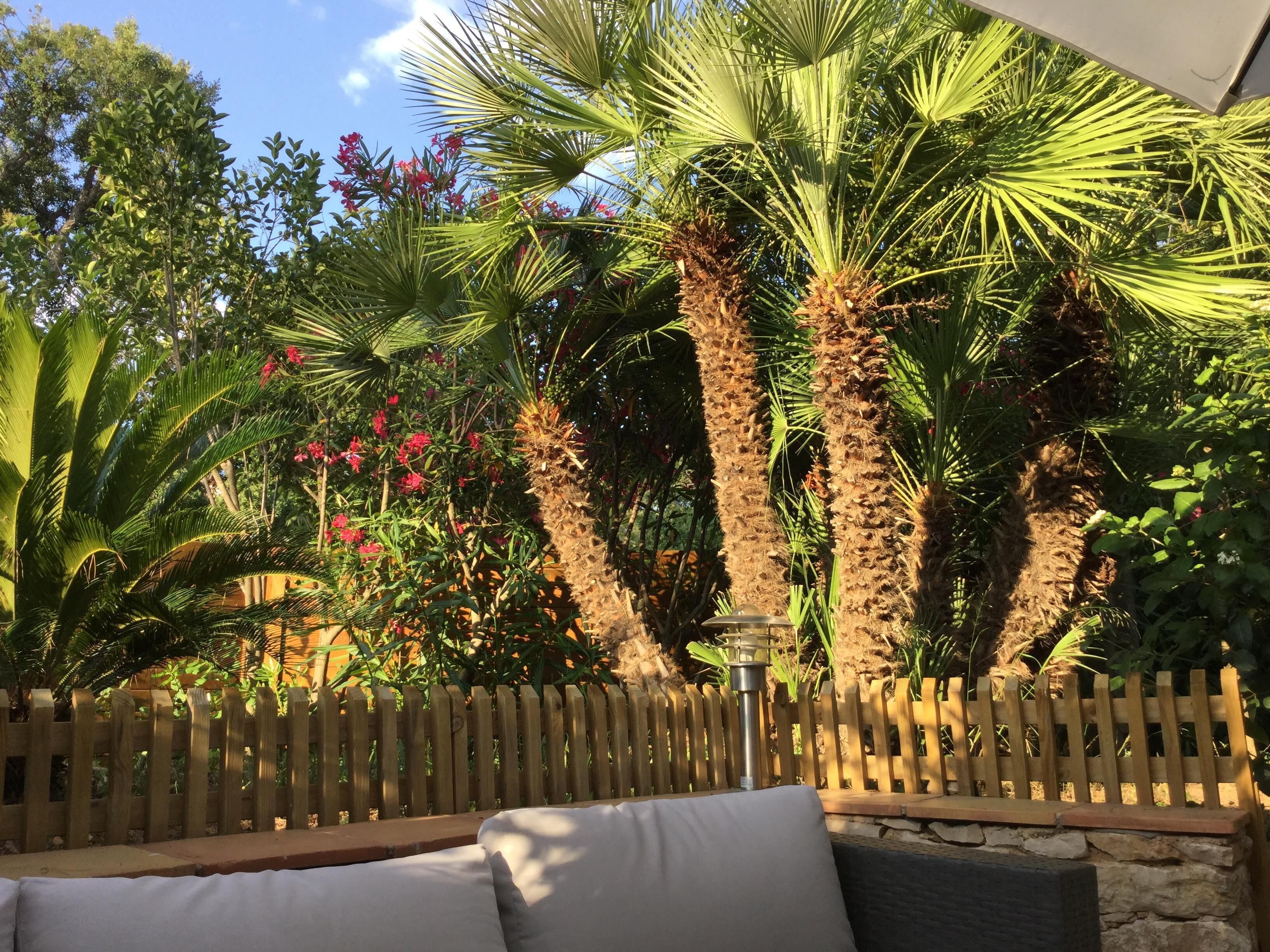 Overnatningsstedets område