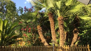 A patio area with a wooden fence, a stone wall, and various tropical plants including palm trees and flowering shrubs. - Saint Raphael beautiful villa 170 m2 swimming pool, very quiet, comfortable, residential  (Saint-Raphaël)