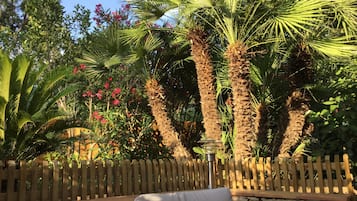 Overnatningsstedets område