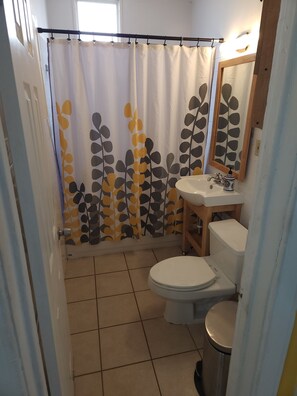Combined shower/bathtub, hair dryer, towels, soap - Fulton market / Noble Square FREE parking, Laundry, 2.5 miles to Mag Mile! (Chicago)