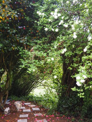 Comfort Tent, 1 Double Bed | View from room