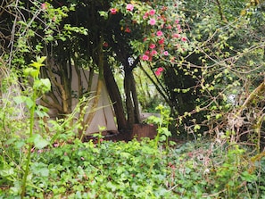 Vista desde la habitación
