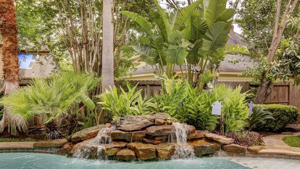 A backyard with a swimming pool, a rock waterfall, and various tropical plants. - Luxury Spectacular House in TX (Sugar Land)