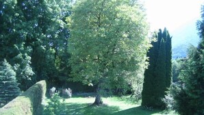 A serene garden with a large tree, a stone wall, and a tall coniferous tree. - Maisonette apartment with mountain panorama for up to 5 people, 65 sqm, 1 bedroom (Bayerisch Gmain)