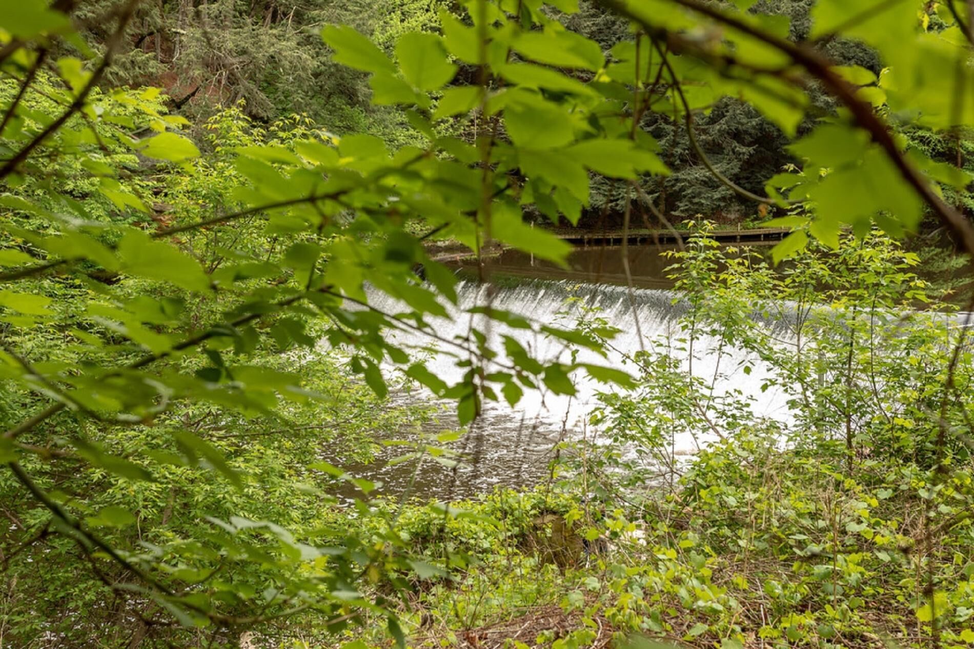 Un paysage naturel avec une cascade, le tout entouré d’une végétation luxuriante.