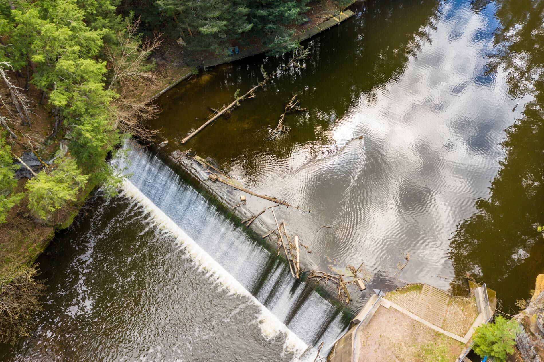A dam with a small waterfall, surrounded by dense greenery and a dock.