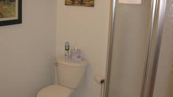 Ducha, toallas, jabón, shampoo