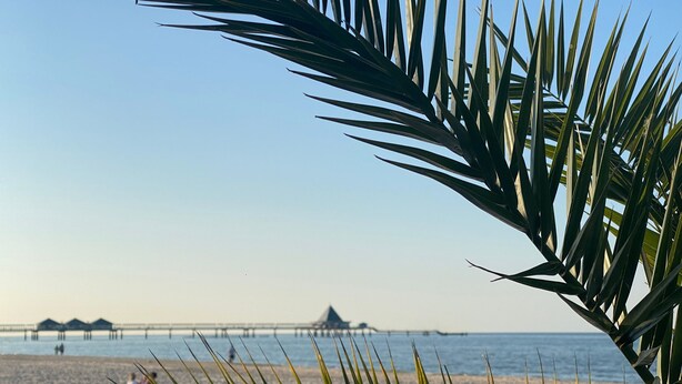 Een strand met palmbladeren op de voorgrond, een pier op de achtergrond en mensen in het zand.