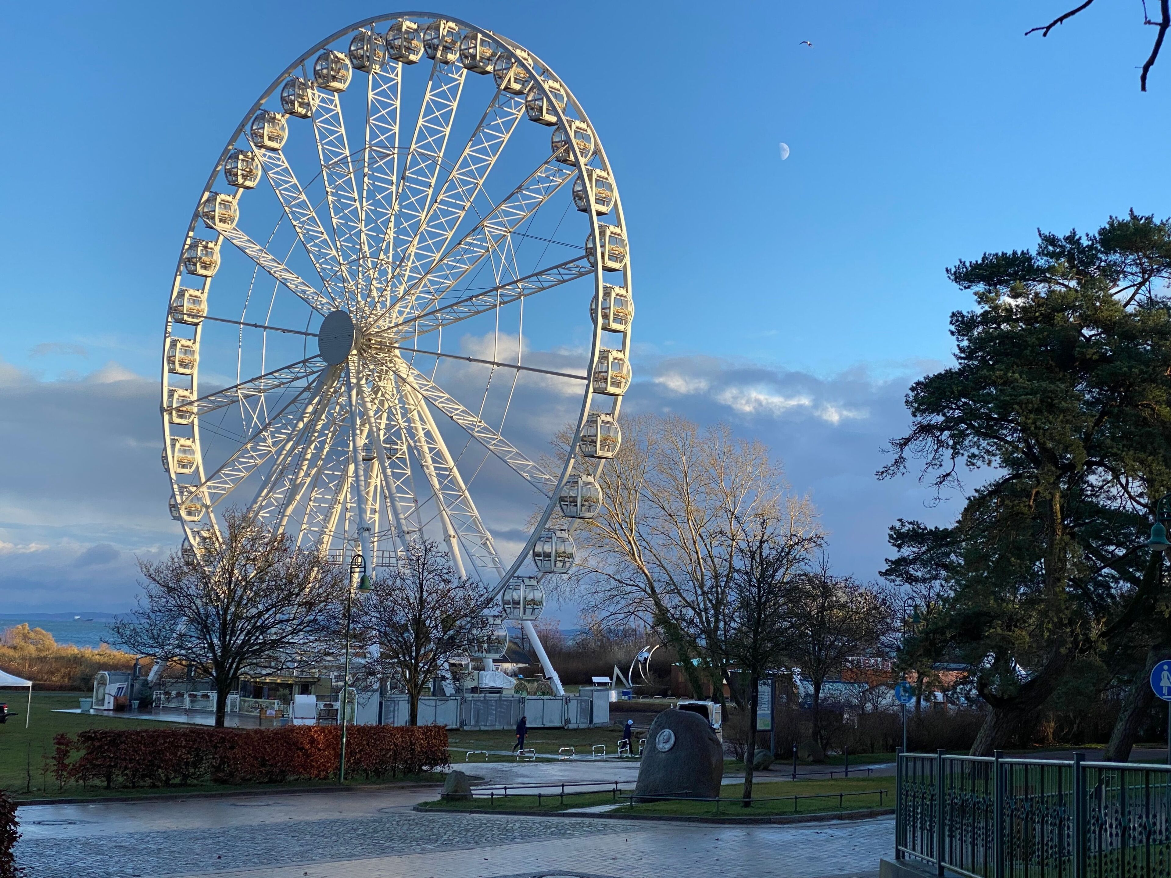 A large Ferris wheel with cabins, a park with benches, and a clear sky.
