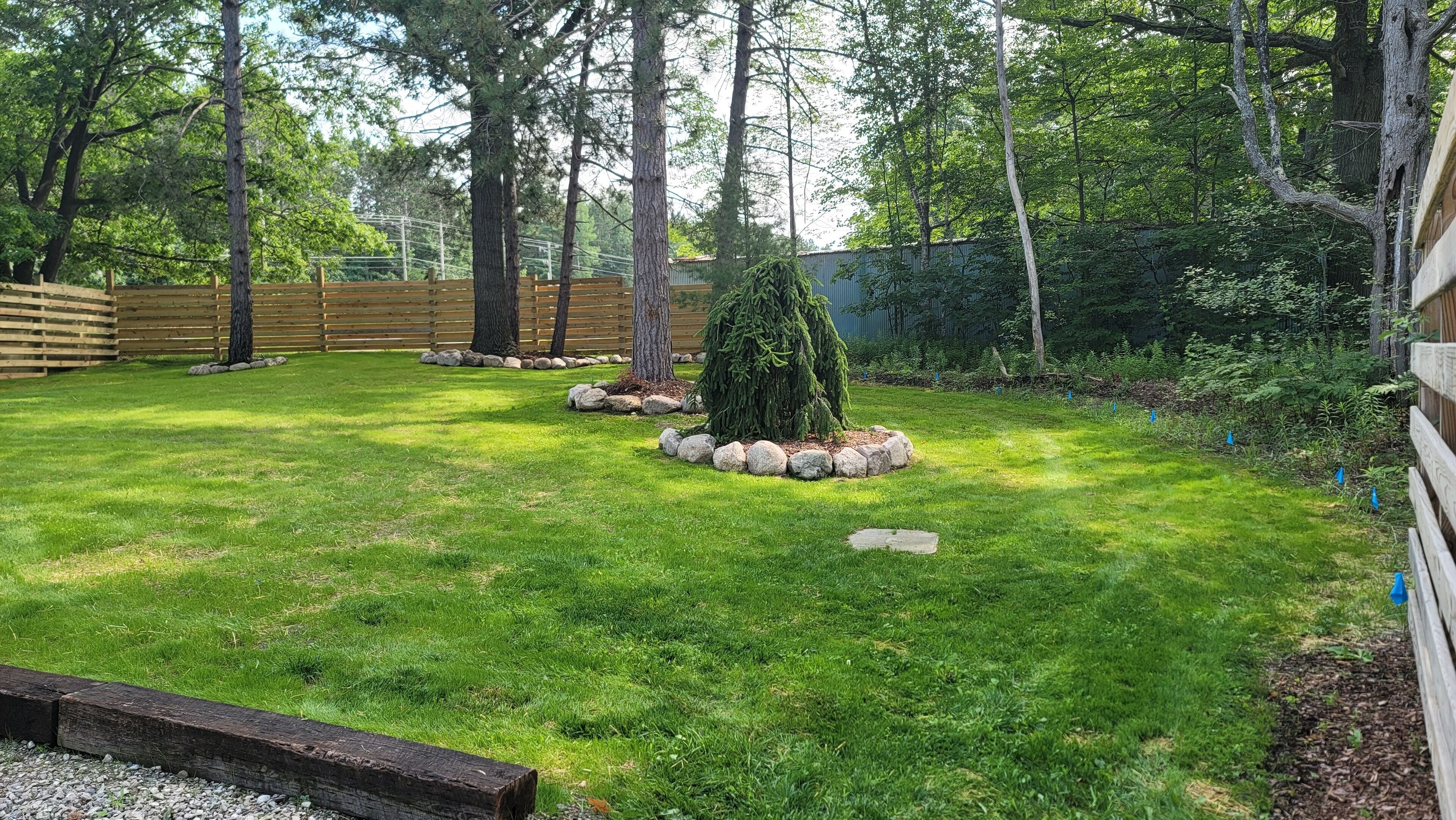 A well-maintained garden with a wooden fence, a small tree, and a rock border.