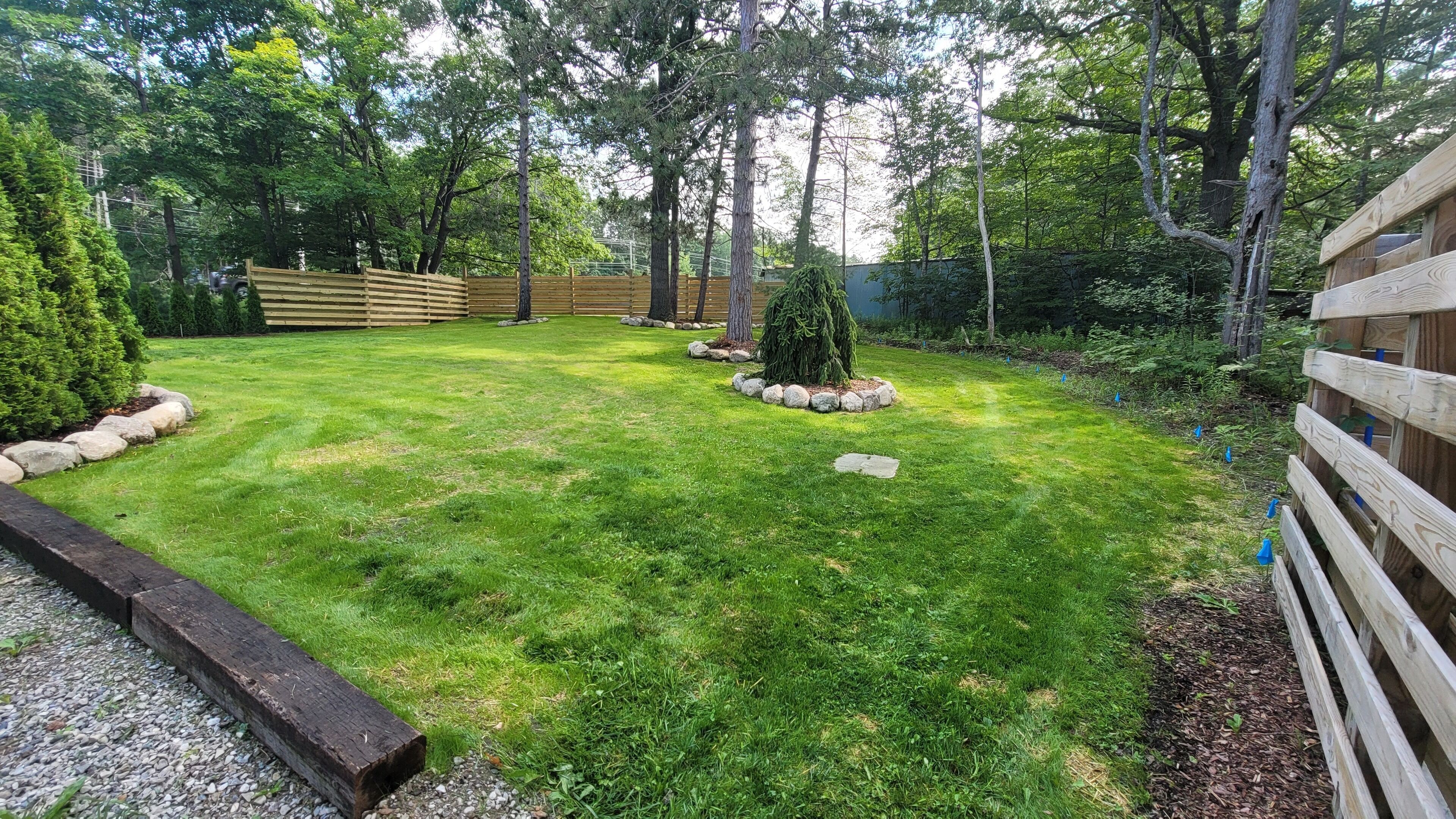A well-maintained grassy yard with a wooden fence, a small tree, and a stone border.