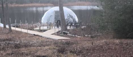 A transparent dome structure over a body of water, surrounded by trees and a concrete pathway.