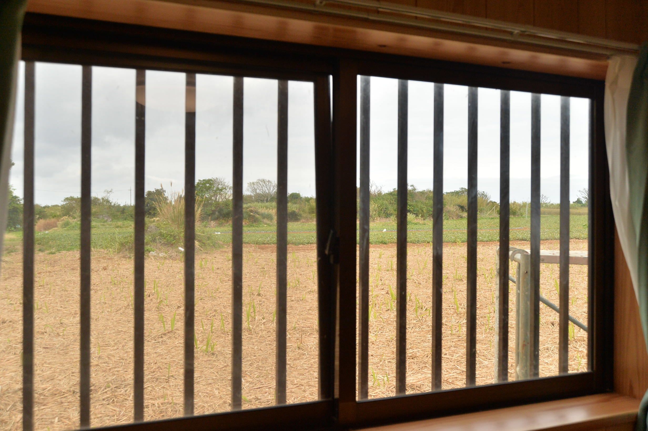 twin room, haimurubushi | view from room