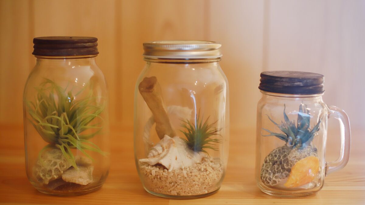 twin room, haimurubushi | 1 bedroom, desk, blackout curtains, free wifi