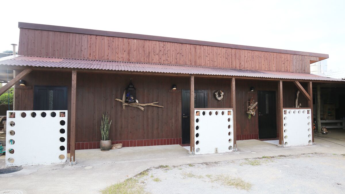 A rustic wooden building with a corrugated metal roof, a porch with circular cutouts, and a potted plant.