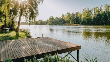 Un muelle de madera se extiende sobre un río tranquilo, rodeado de abundante vegetación y árboles.
