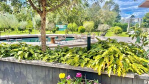 A garden area with a wooden planter bed containing tulips and a pool in the background. - Hawkesbury Country Retreat (Cornwallis)