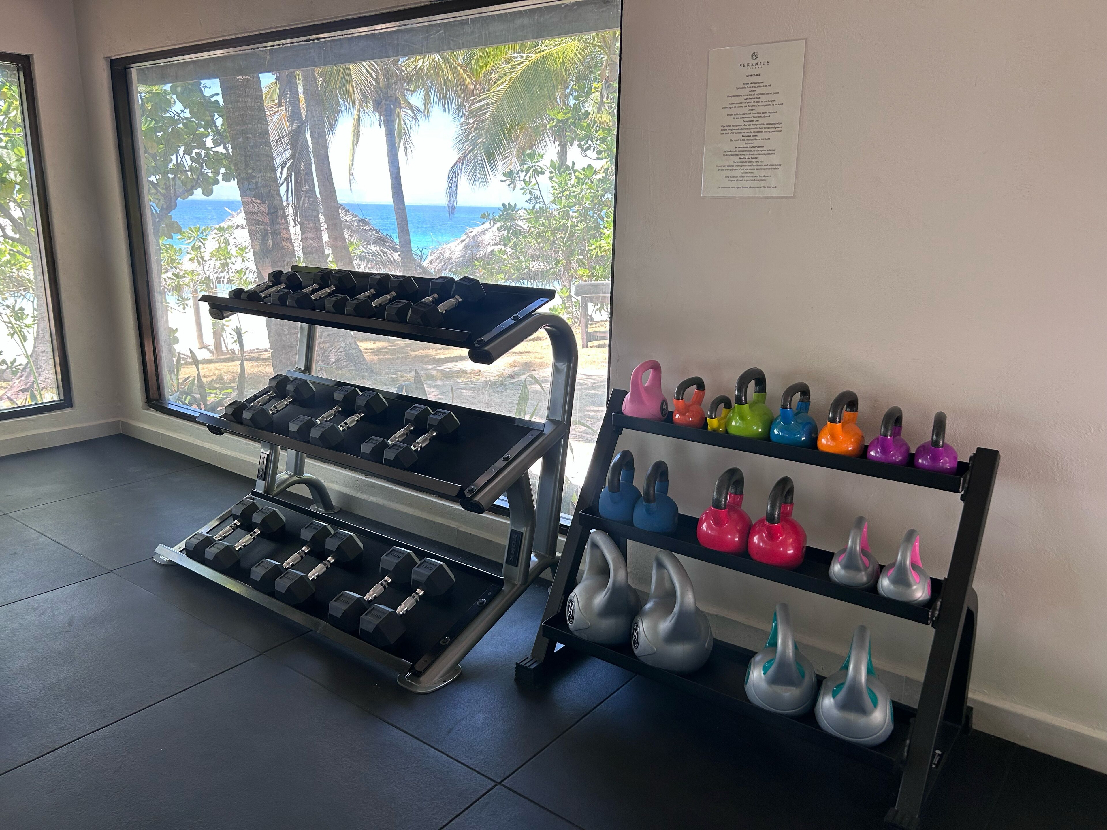 Un gimnasio con equipo de levantamiento de pesas y kettelbells, con vistas panorámicas a palmeras y al océano.