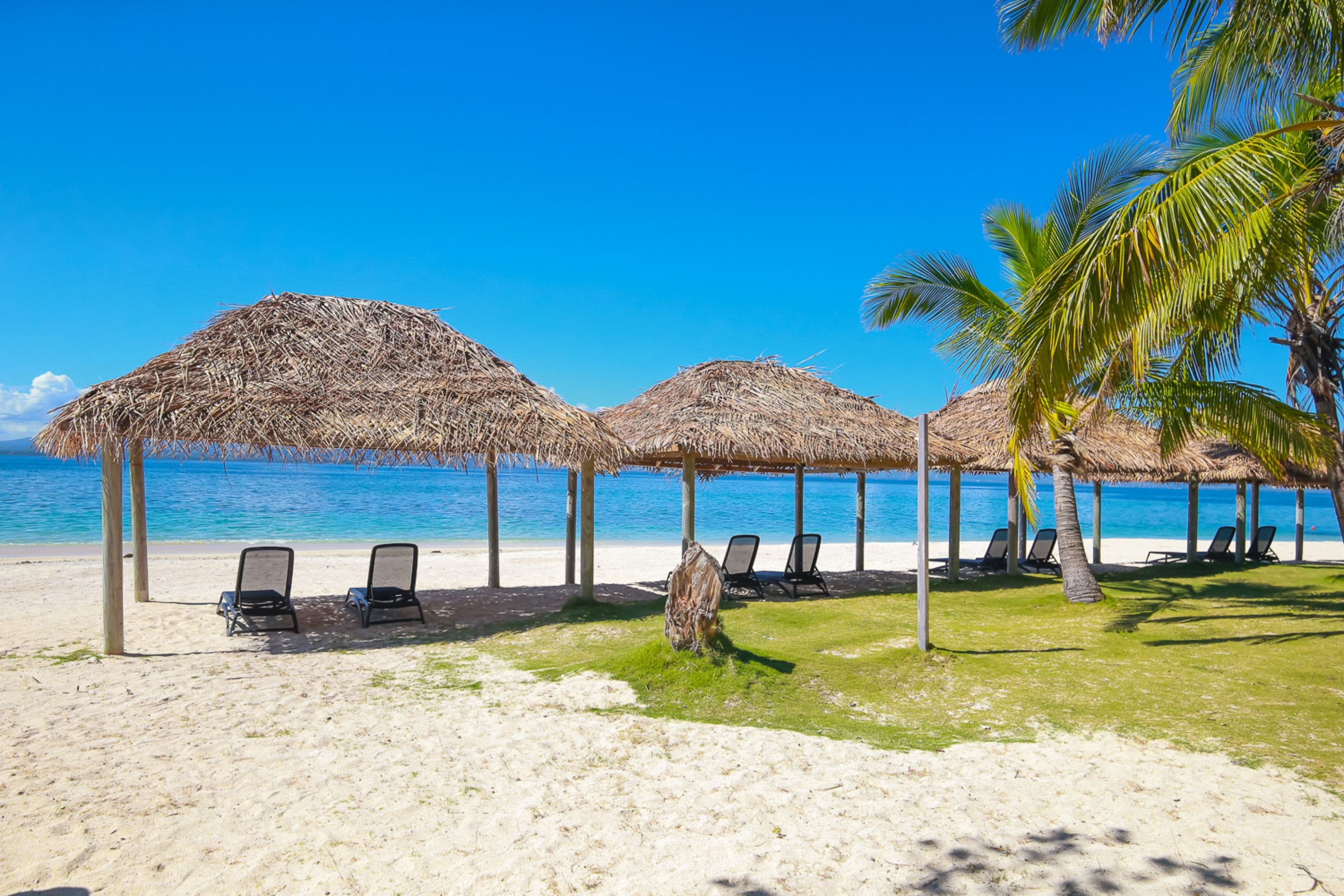 Une plage avec des parasols en chaume et des chaises longues.