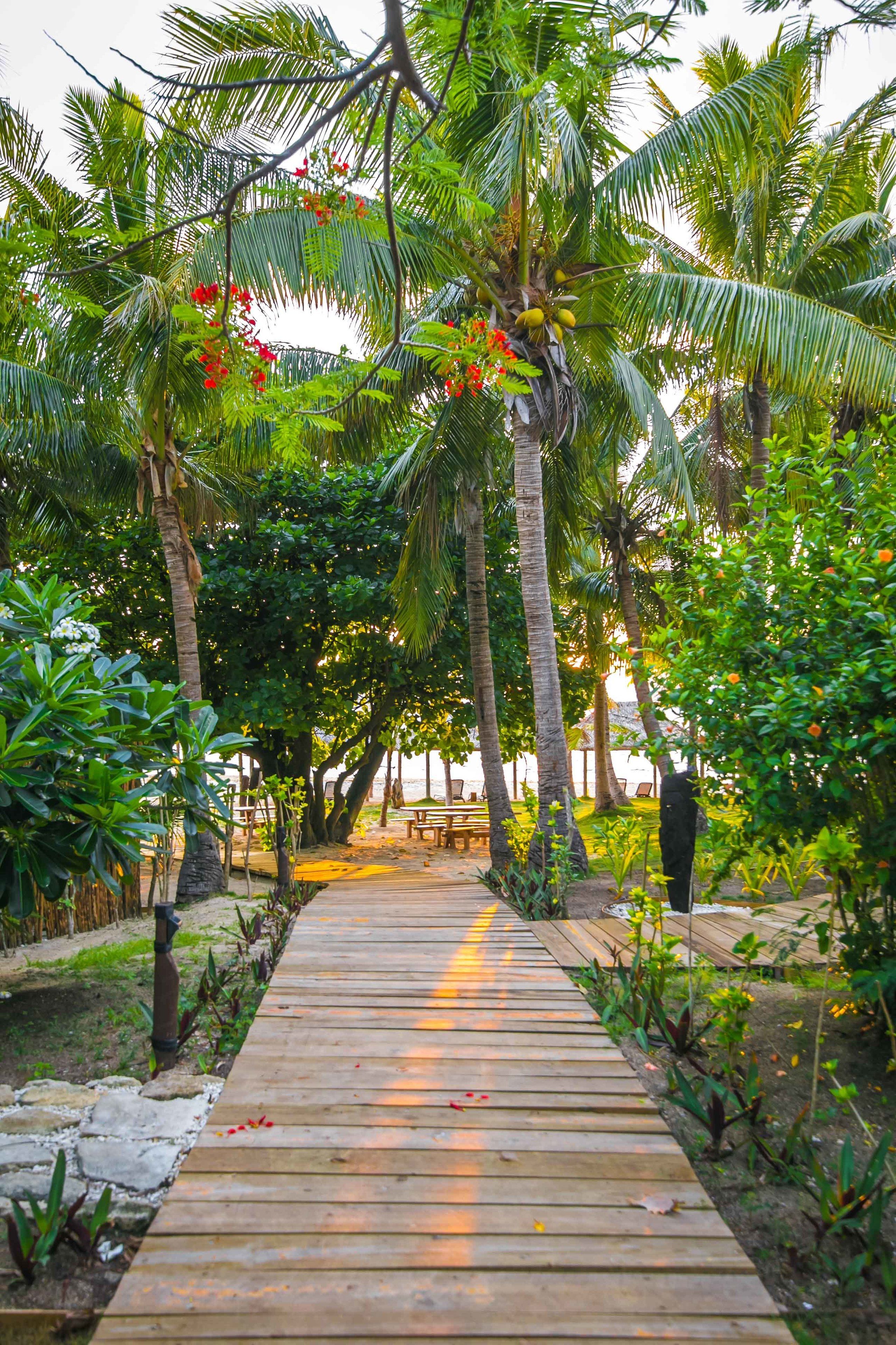 Un sendero de madera serpentea por un jardín tropical con palmeras y diversas plantas.