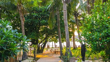 Un sendero de madera serpentea por un jardín tropical con palmeras y diversas plantas.